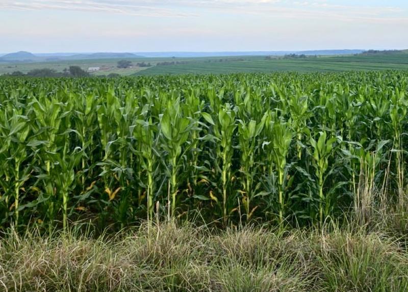 0 Bedroom Property for Sale in Bethlehem Rural Free State